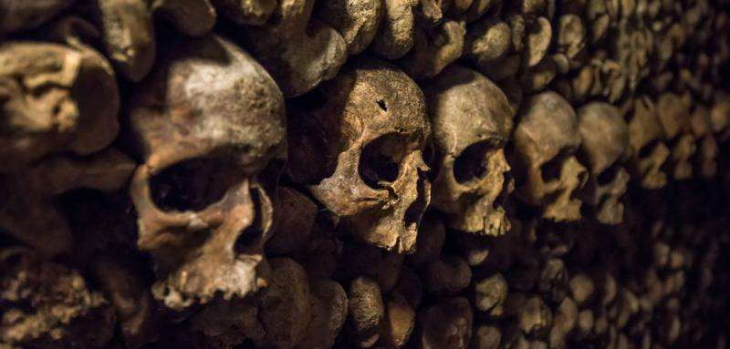 Skulls and bones in Paris Catacombs. Credit: Shutterstock images