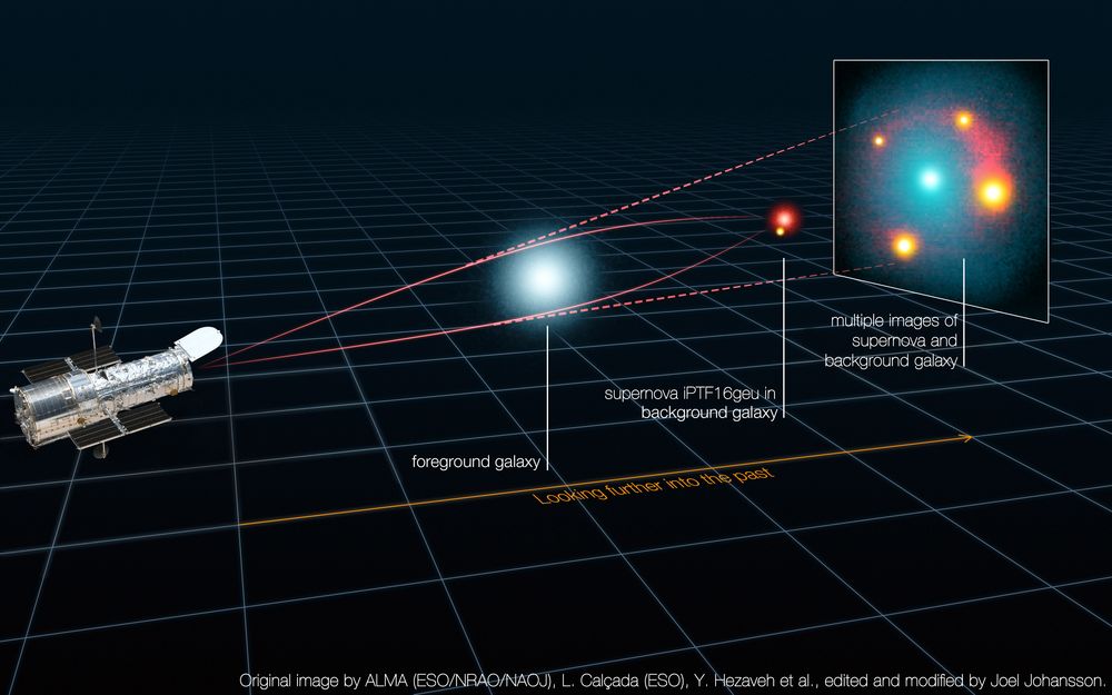 ALMA (ESO/NRAO/NAOJ), L. Calçada (ESO), Y. Hezaveh et al., edited and modified by Joel Johansson Bent by the galaxy's gravity, light from the supernova took four different paths to get to Earth. Estimating how long it took for the images to reach Earth could help to pinpoint how quickly the universe is expanding.